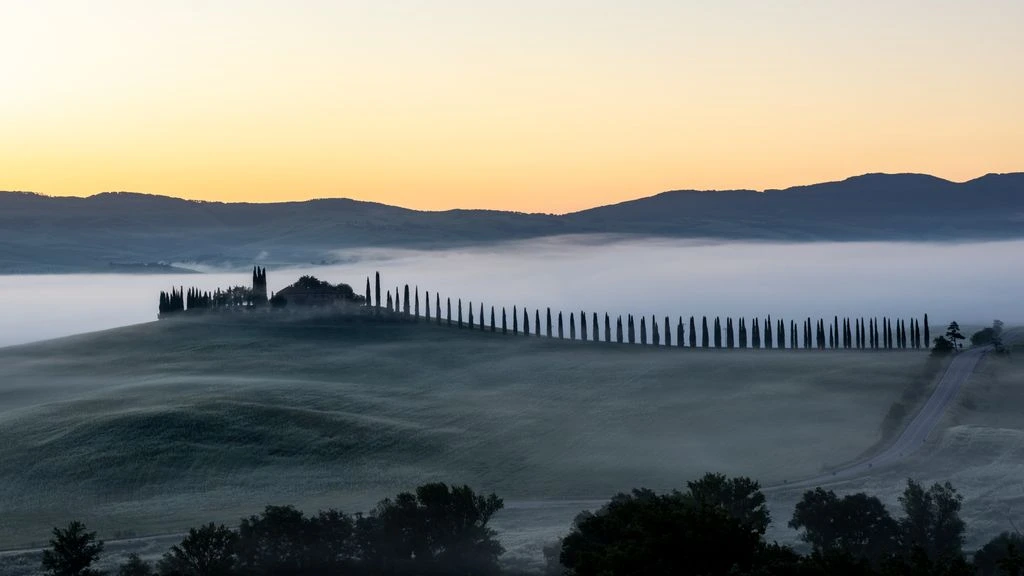 Petit matin brumeux sur une colline toscane, lavande mouillée au premier plan